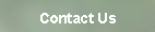 Contact
                                Us